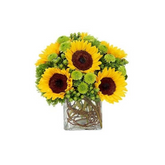 Sunny Surprise Bouquet